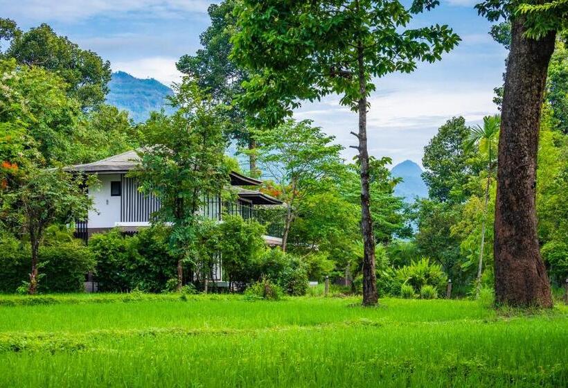 ویلای لوکس 1 خوابه, The River Resort