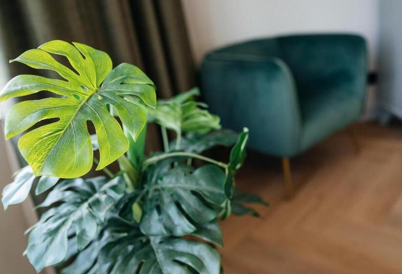 סוויטת ג'וניור, Myhotel Steenwijk   Giethoorn