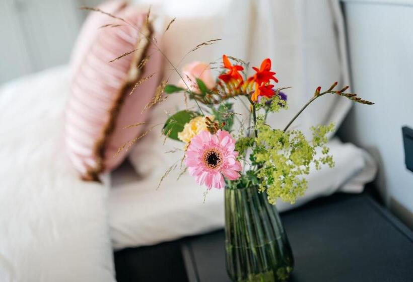 스위트, Myhotel Steenwijk   Giethoorn