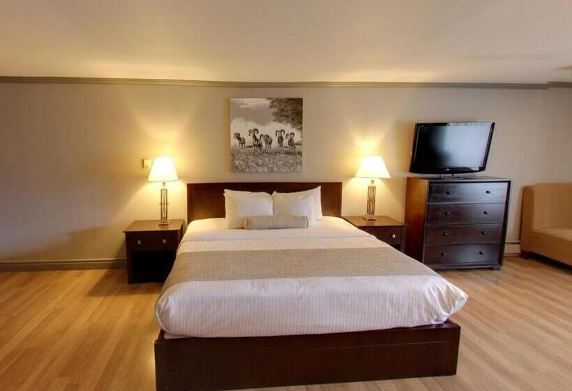 חדר סטנדרט עם מיטת קינג, Days Inn By Wyndham Golden