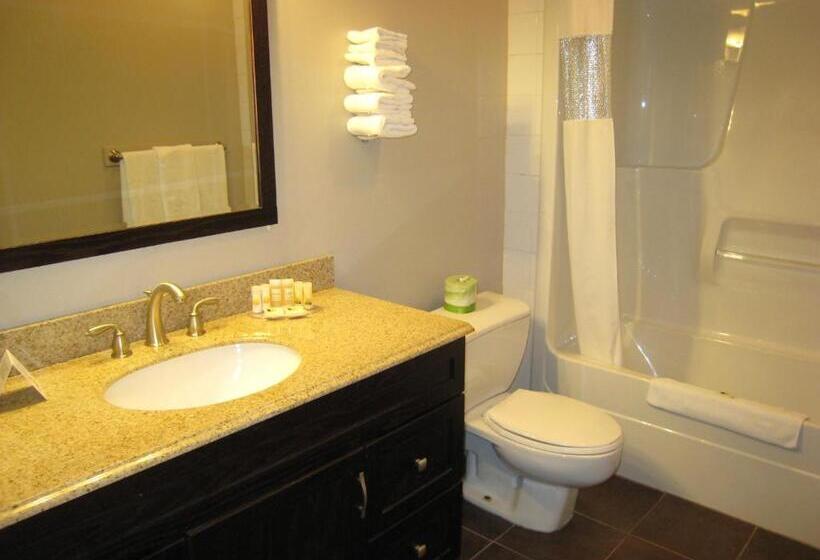 חדר סטודיו סטנדרד, Days Inn By Wyndham Golden