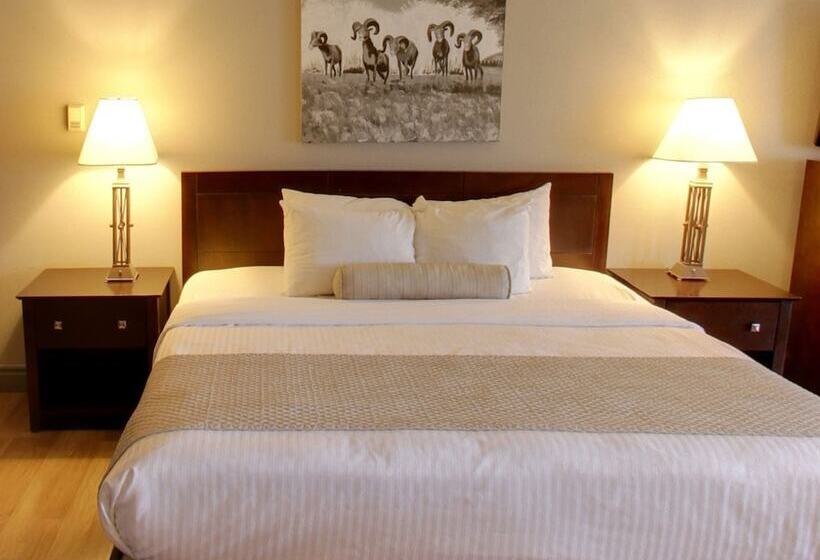 חדר סטודיו סטנדרד, Days Inn By Wyndham Golden