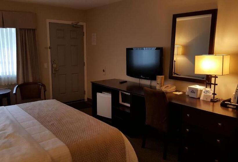 חדר סטנדרט עם מיטת קינג, Days Inn By Wyndham Golden