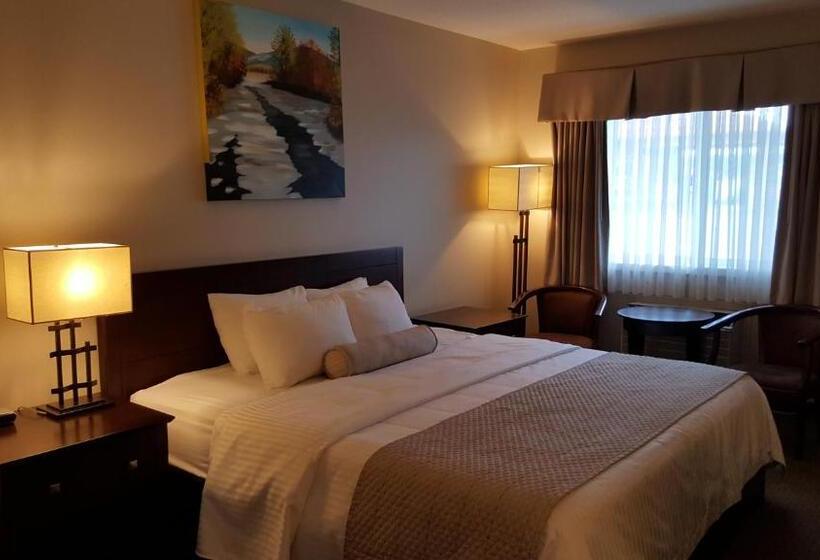 חדר סטנדרט עם מיטת קינג, Days Inn By Wyndham Golden