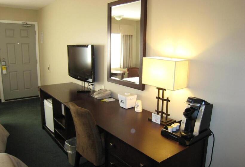 חדר סטנדרט עם מיטת קינג, Days Inn By Wyndham Golden