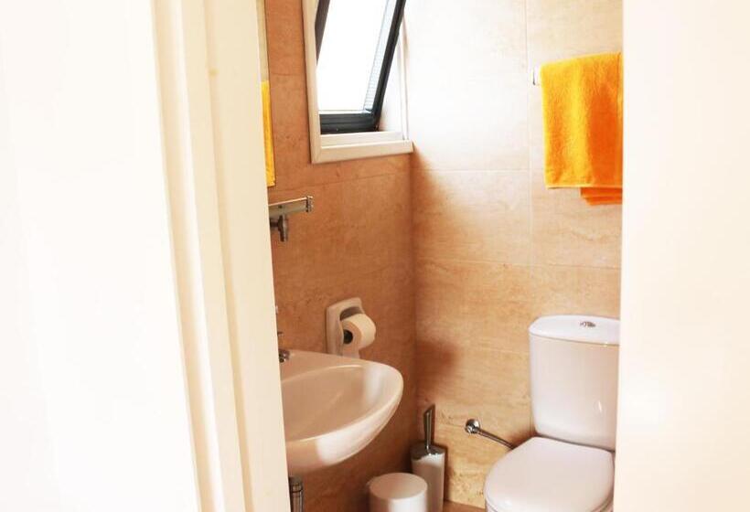 Camera Standard, Rebioz