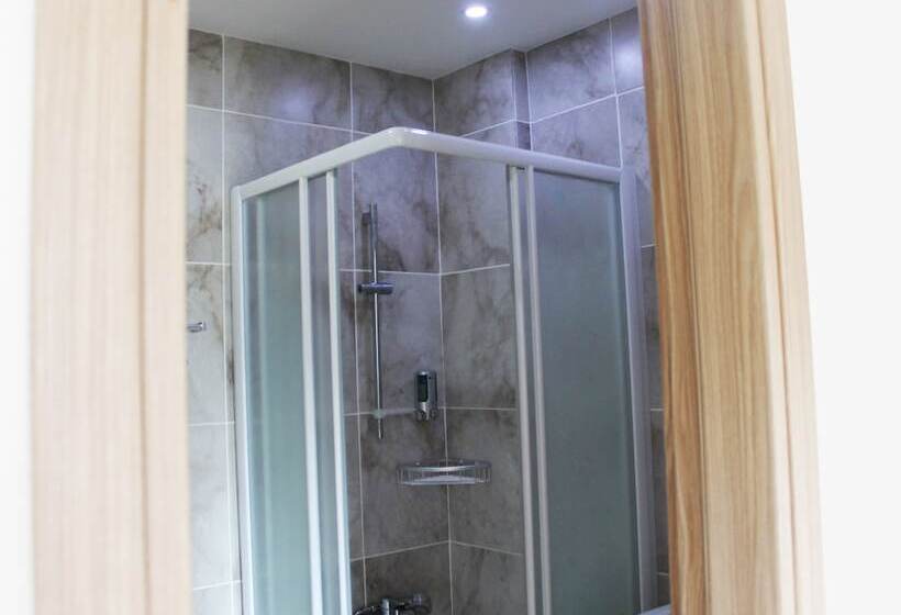 Camera Standard, Rebioz