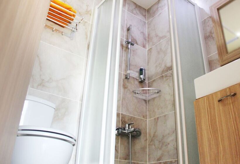 Camera Standard, Rebioz