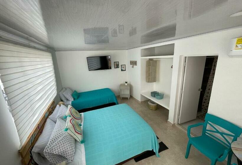 غرفة قياسية, Kalathea Casa