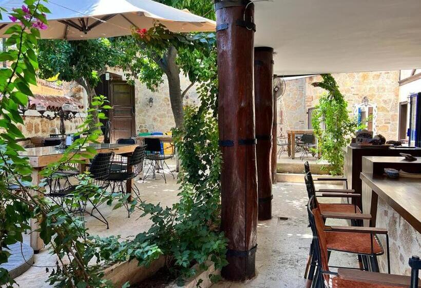 اتاق استاندارد یک نفره, Villa Citronella Boutique