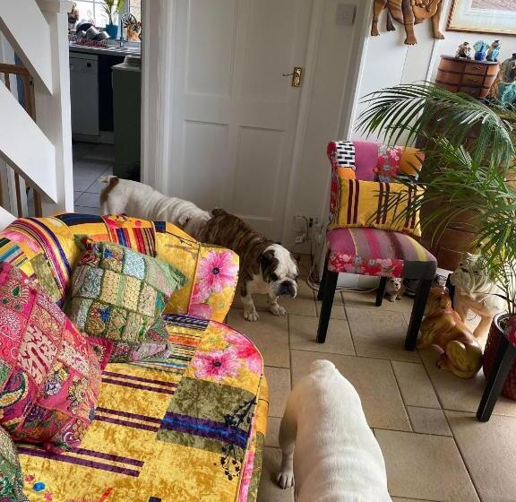 اتاق استاندارد با سرویس بهداشتی مشترک, Twenty