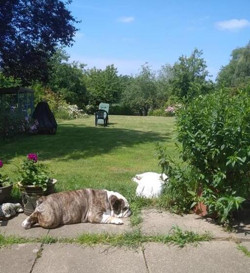 اتاق استاندارد با چشمانداز دریاچه, Twenty