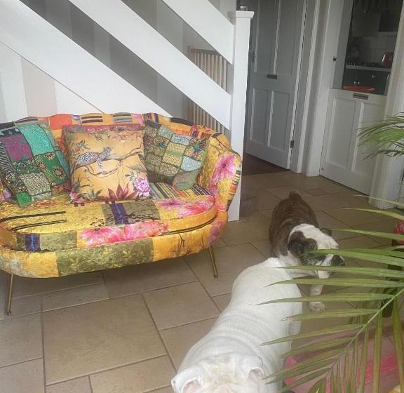 اتاق استاندارد با چشمانداز دریاچه, Twenty