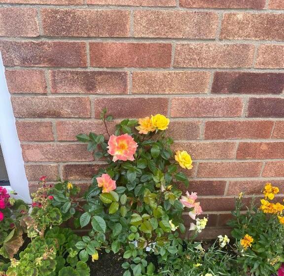 اتاق استاندارد با چشمانداز دریاچه, Twenty