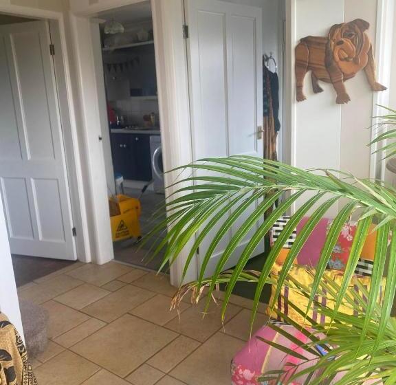 اتاق استاندارد با سرویس بهداشتی مشترک, Twenty