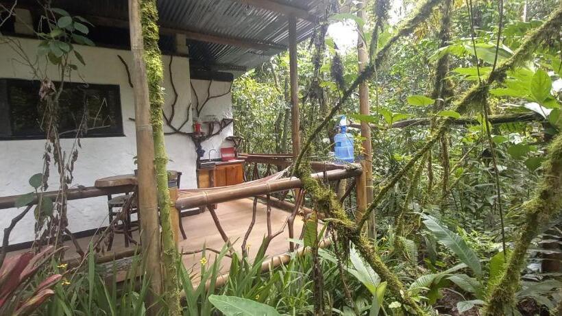 جناح ديلوكس, Cantalarana, Antes Wikiri Lodge