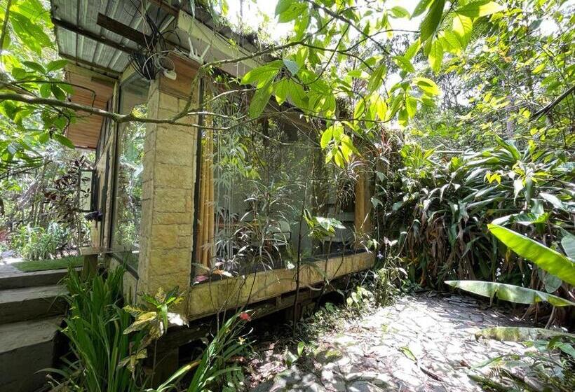 غرفة إقتصادية, Cantalarana, Antes Wikiri Lodge