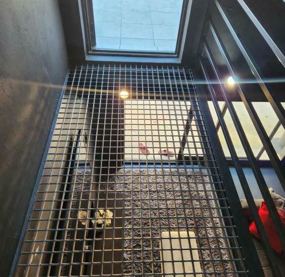 اتاق لوکس با تخت بزرگ, 17 On Buffalo