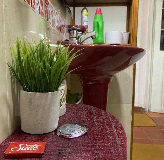 标准间, Bogotá Kings 101