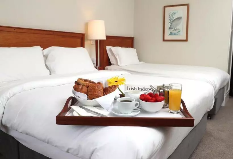 اتاق استاندارد سه نفره, Ballymascanlon Hotel And Golf Resort