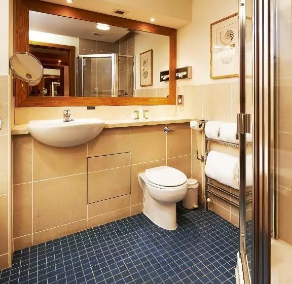 اتاق استاندارد یک نفره, Ballymascanlon Hotel And Golf Resort