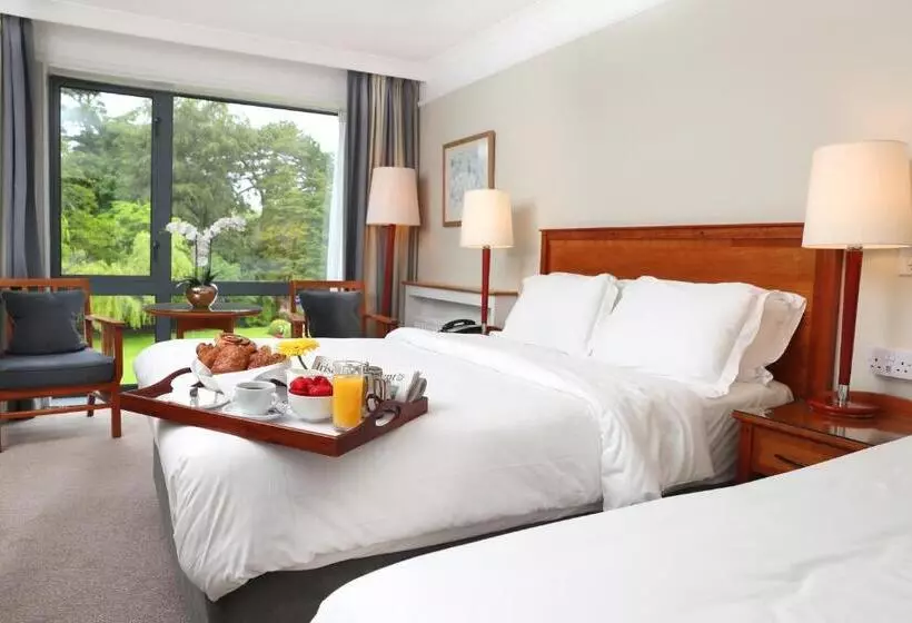 اتاق استاندارد یک نفره, Ballymascanlon Hotel And Golf Resort