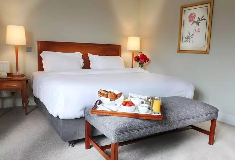 اتاق استاندارد, Ballymascanlon Hotel And Golf Resort