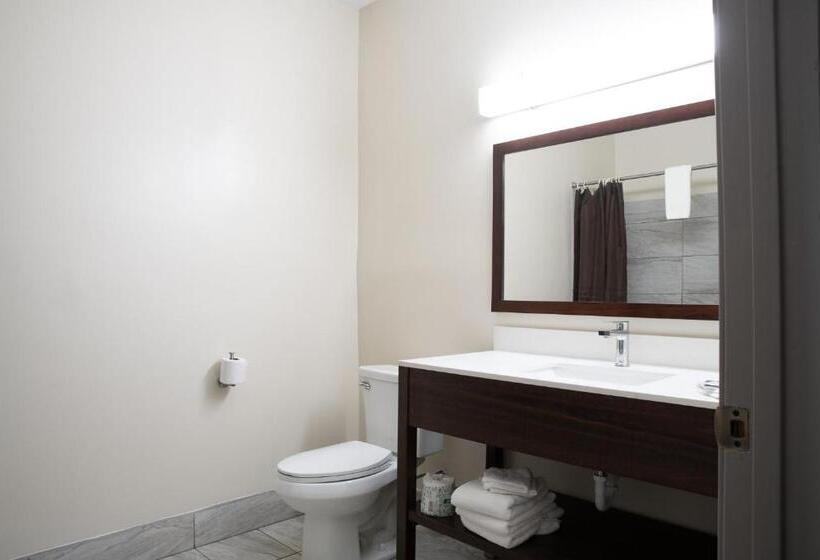 Номер Стандарт Адаптированный для Инвалидов, Blisspoint Inn & Suites Marion