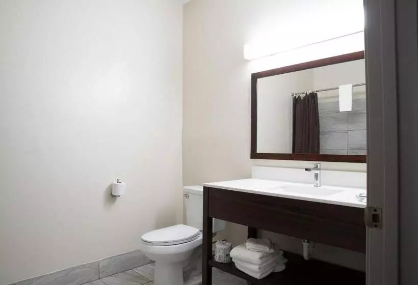 スーペリアールーム, Blisspoint Inn & Suites Marion