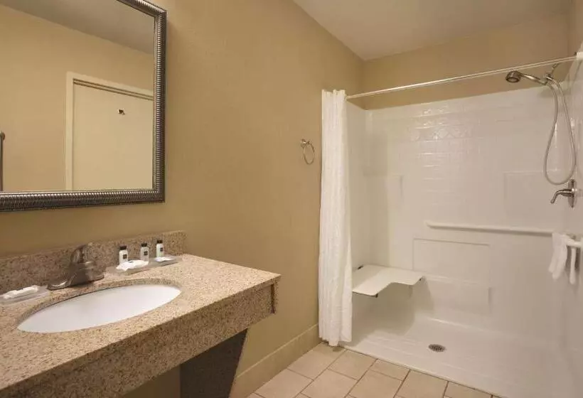 Sviitti Liikuntarajoitteisille, Country Inn & Suites By Radisson, Goodlettsville, Tn