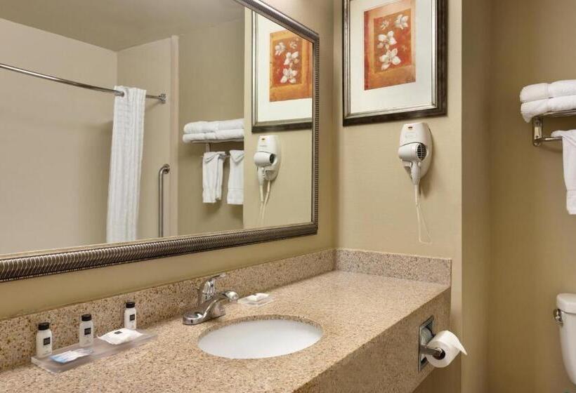 غرفة قياسية سرير كينج, Country Inn & Suites By Radisson, Goodlettsville, Tn