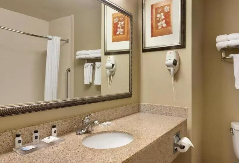 Standard-huone King-vuode, Country Inn & Suites By Radisson, Goodlettsville, Tn