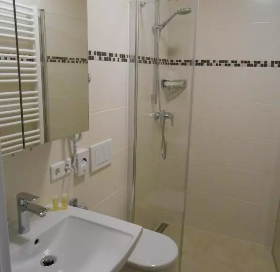 Comfort Yhden Hengen Huone, Weisse Elster