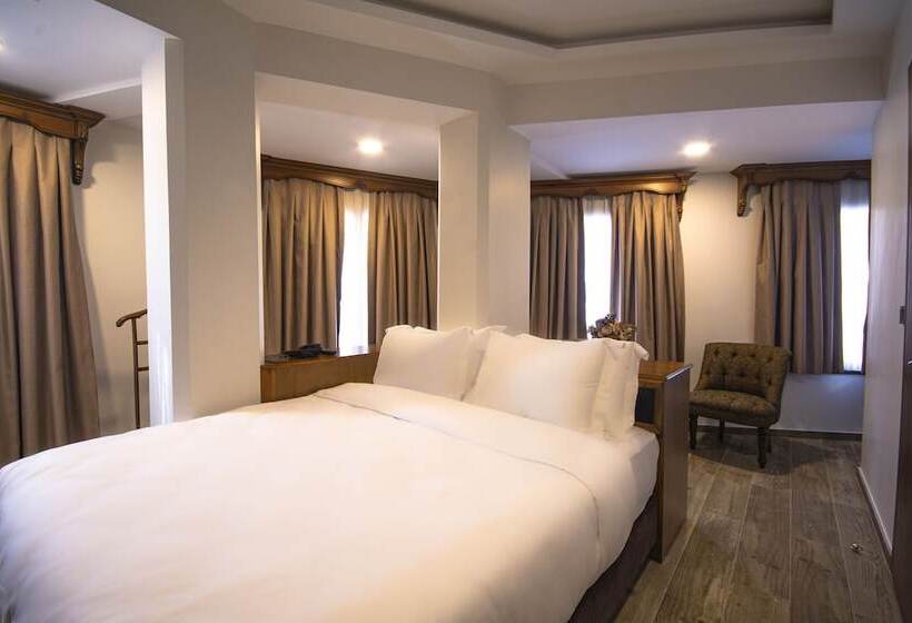 اتاق لوکس یک تخته, Maison Gali