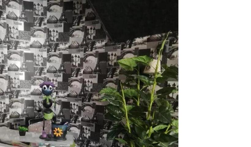 آپارتمان 1 خوابه, Appart Hôtel Tanger Paname