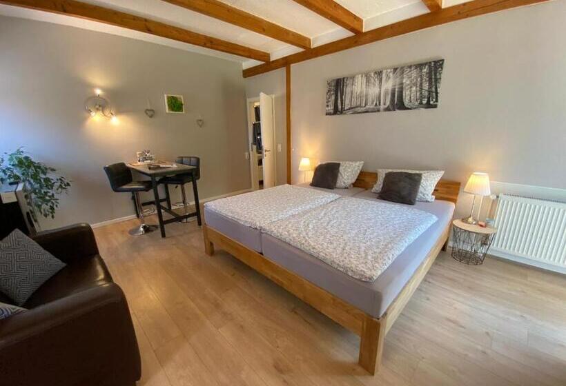 Номер Стандарт, Großes Doppelzimmer Mit Eigenem Bad Und Kühlschrank, Frisch Saniert