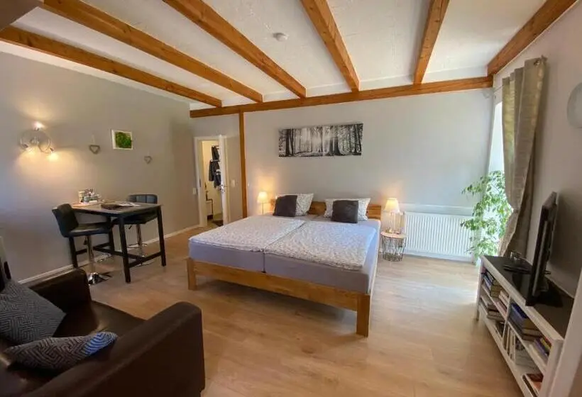 スタンダードルーム, Großes Doppelzimmer Mit Eigenem Bad Und Kühlschrank, Frisch Saniert