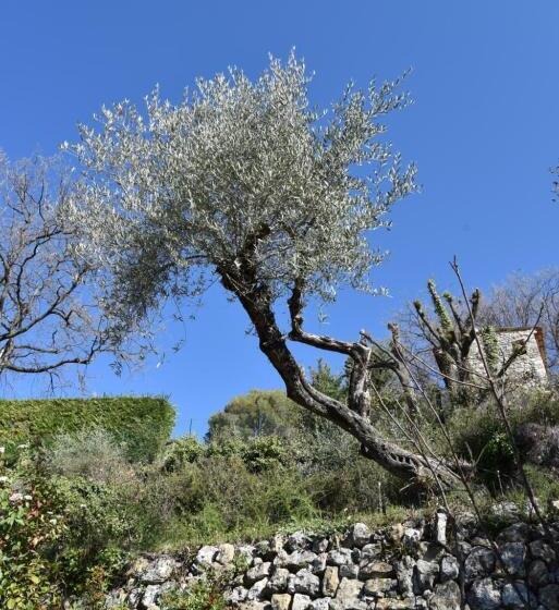 חדר סטנדרט עם טרסה, Chambre D Hôtes Cottes