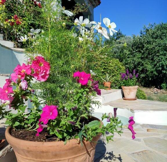 חדר דלוקס, Chambre D Hôtes Cottes