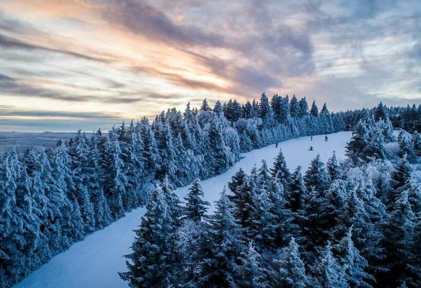 Апартаменты 1 Спальня, Snowshoe Ski In & Ski Out At Silvercreek Resort   Family Friendly, Jacuzzi, Hot Tub, Mountain Views