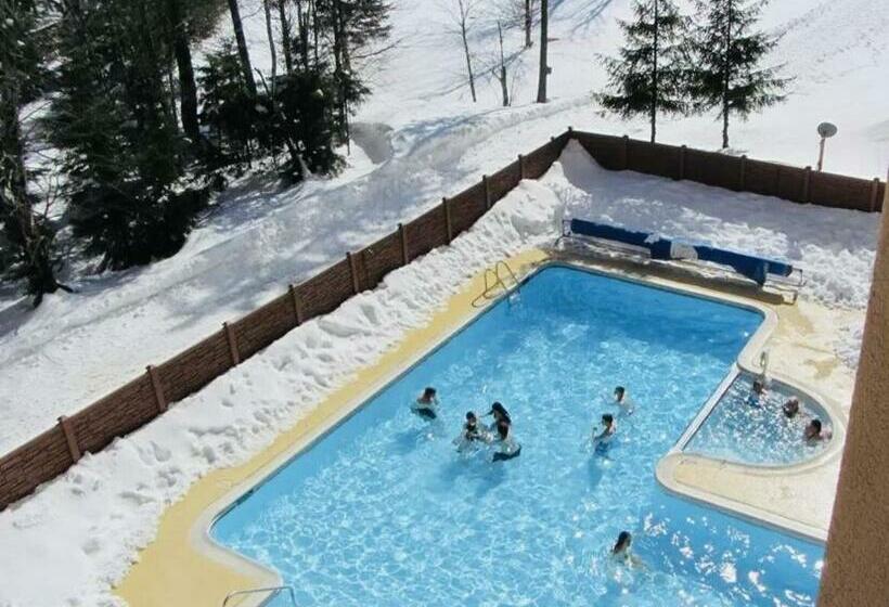 Апартаменты 1 Спальня, Snowshoe Ski In & Ski Out At Silvercreek Resort   Family Friendly, Jacuzzi, Hot Tub, Mountain Views