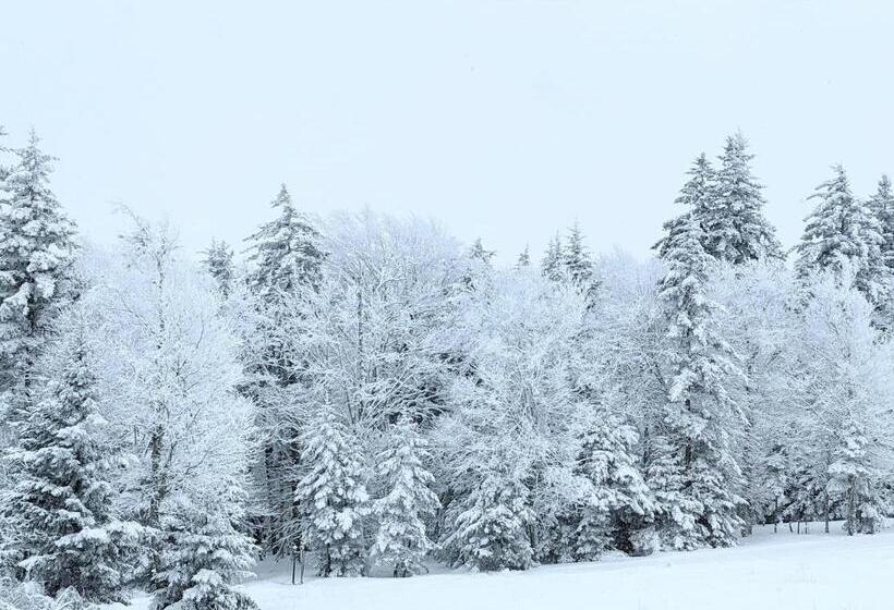 침실 1개 아파트, Snowshoe Ski In & Ski Out At Silvercreek Resort Family Friendly, Jacuzzi, Hot Tub, Mountain Views