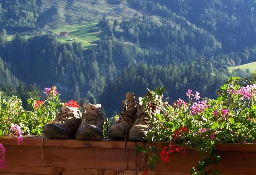 חדר סטנדרט עם מרפסת, Aktivhotel Alpendorf