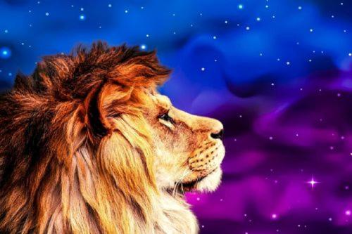 غرفة قياسية فردية, Hostal El Molino