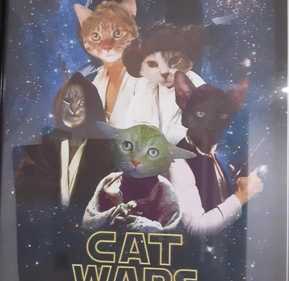 غرفة أساسية فردية, Hostal El Molino