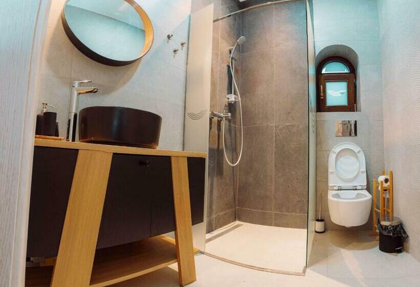 ガーデンビュースタンダードルーム, Conacul Olarilor