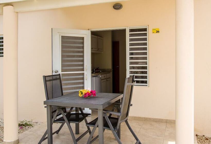 استودیوی استاندارد, Hamlet Oasis Resort