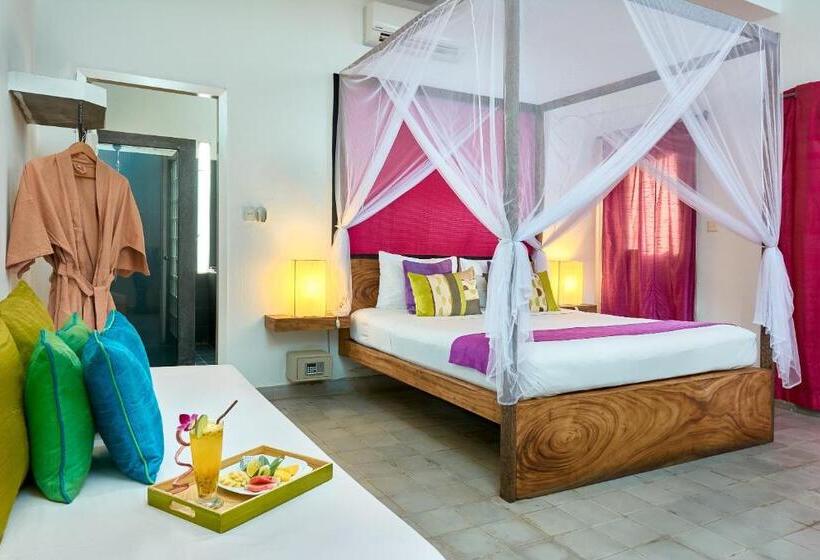 Superior Room, Blue Lime