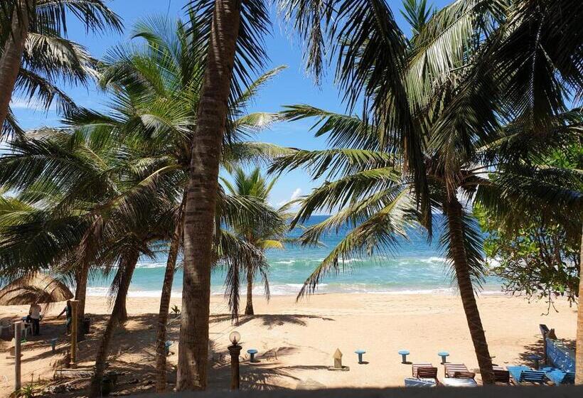 수피리어 트리플 룸, Oasey Beach