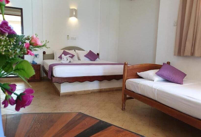 수피리어 트리플 룸, Oasey Beach